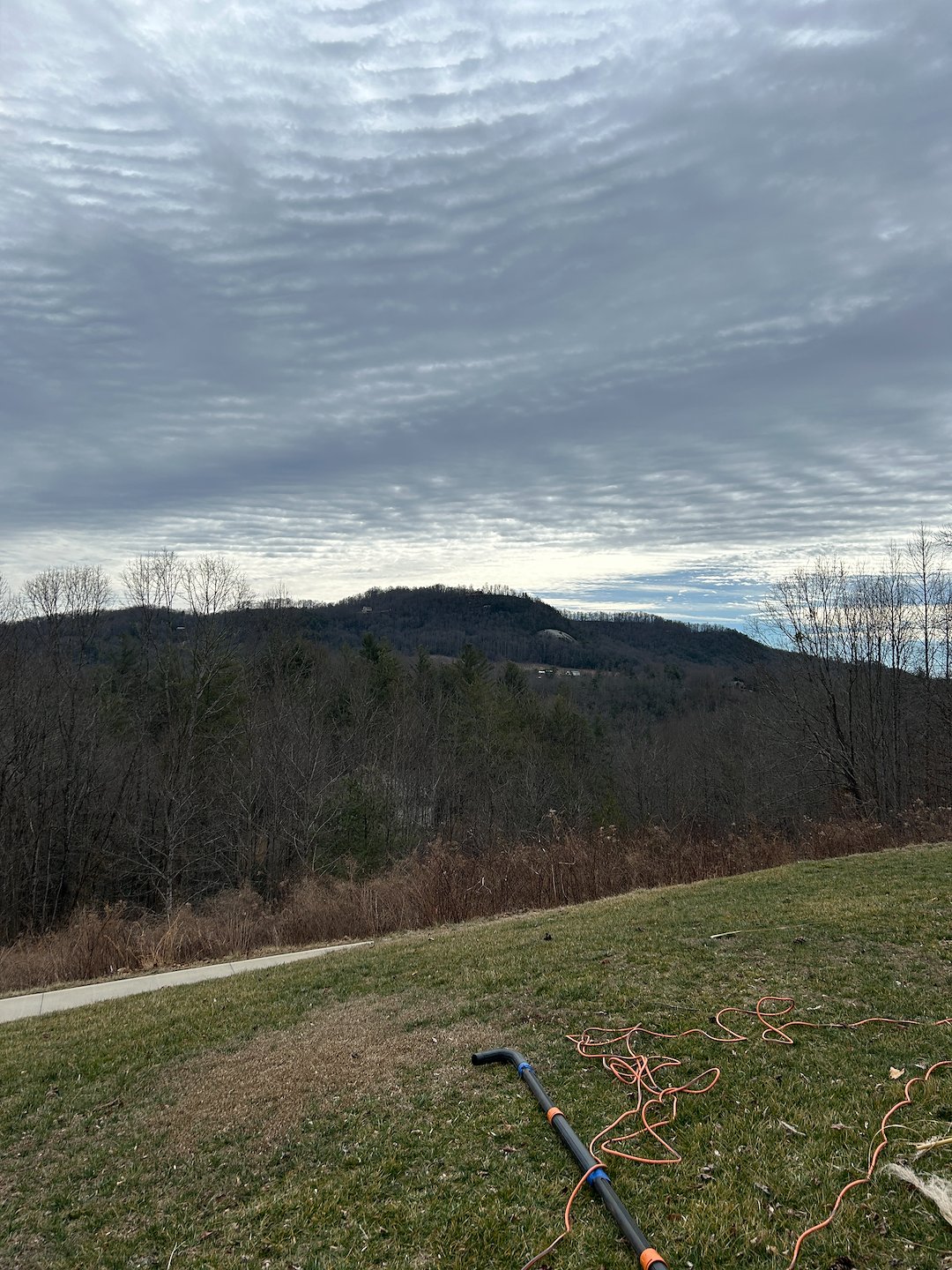 Gutter Cleaning in Hendersonville, NC Even With Gutter Guards: Pine Needles Are the Real Test