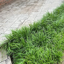 pressure-washing-project-greenville-sc 4