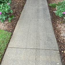 pressure-washing-window-cleaning-greenville-sc 22