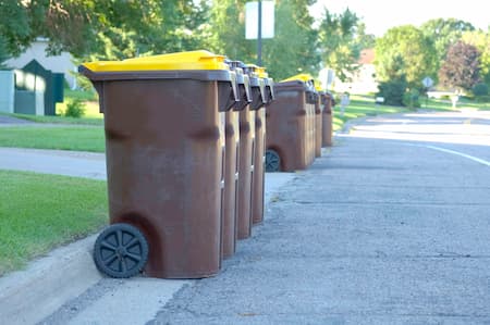 Trash Can Cleaning Thumbnail
